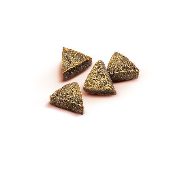 Ласощі Brit Care Functional Snack Snack Antiparasitic Salmon для собак напіввологі антипаразитарний ефект лосось 150 г 8595602540013 8595602540013 фото