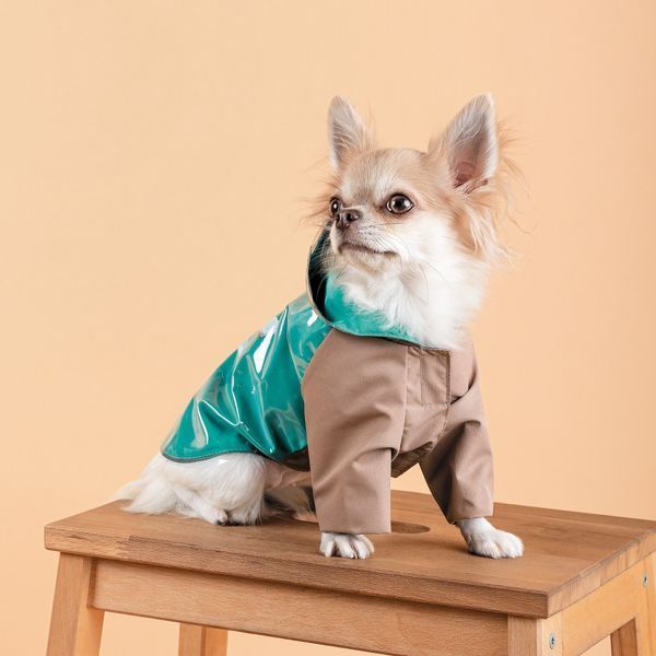 Дощовик Pet Fashion Semmy морська хвиля капучіно M 4823082434527 4823082434527 фото