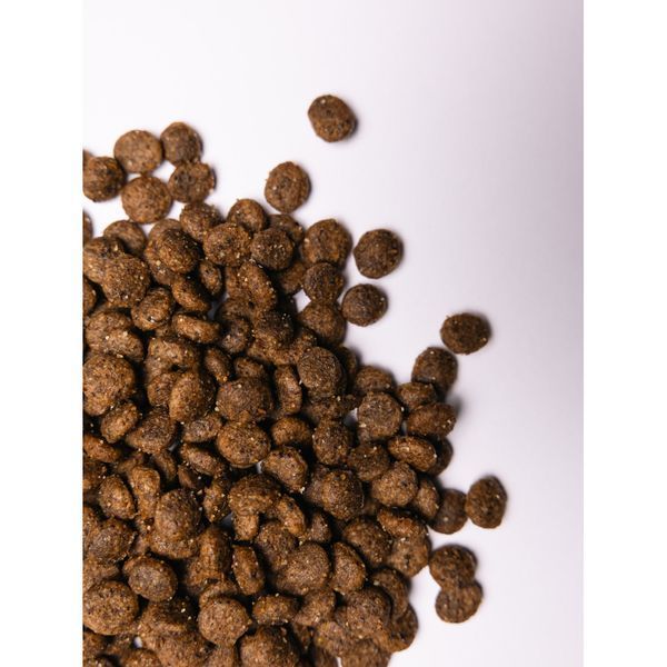 Корм сухий Savory Small Breed rich in Fresh Turkey and Lamb для дорослих собак малих порід до 10 кг зі свіжим ягням та індичкою 4820232630365 4820232630365 фото