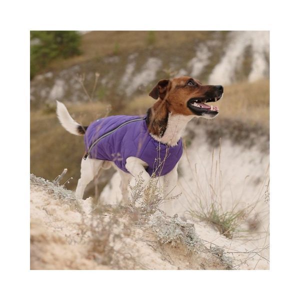 Жилет Pet Fashion E.Vest для собак фіолетовий S 4823082424214 4823082424214 фото