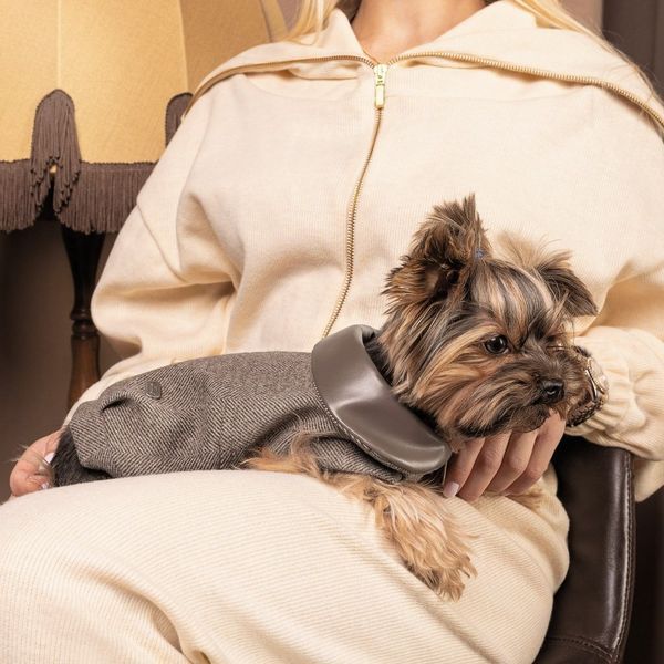 Жакет Pet Fashion Harry для собак коричневий XS 4823082430093 4823082430093 фото