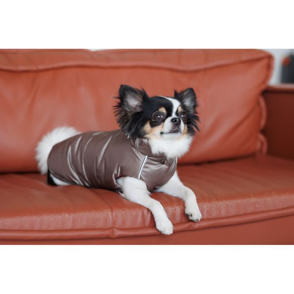 Жилет Pet Fashion Hardy для собак утеплений водонепроникний з отвором для повідця бежевий розмір S2 4823082437504 4823082437504 фото