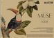 Альбом для малювання 3 шт. MUSE. Альбом Школярик 30 арк. А4 PB-SC-030-318 4823088235357 4823088235357 фото 4