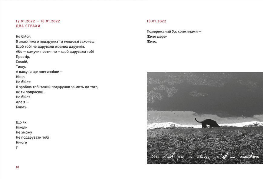 Книга PRIMITIVO. Автор - Мар'яна Прохасько. Видавництво Старого Лева 9789664481042 фото