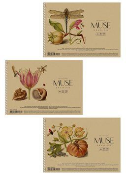 Альбом для малювання 3 шт. MUSE. Альбом Школярик 30 арк. А4 PB-SC-030-319 4823088235319 4823088235319 фото