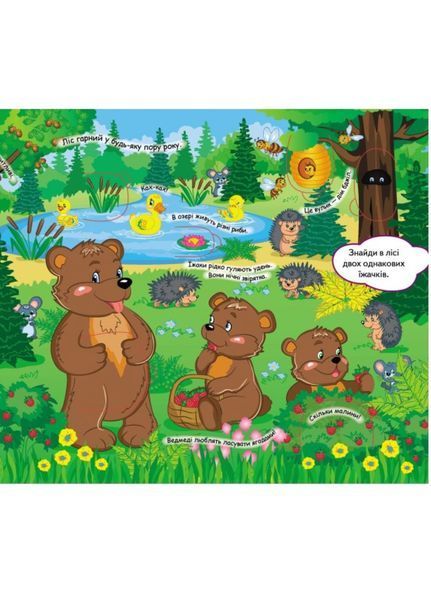 Книжка з віконцями. У лісі. На фермі. Набір 9789669477453N фото