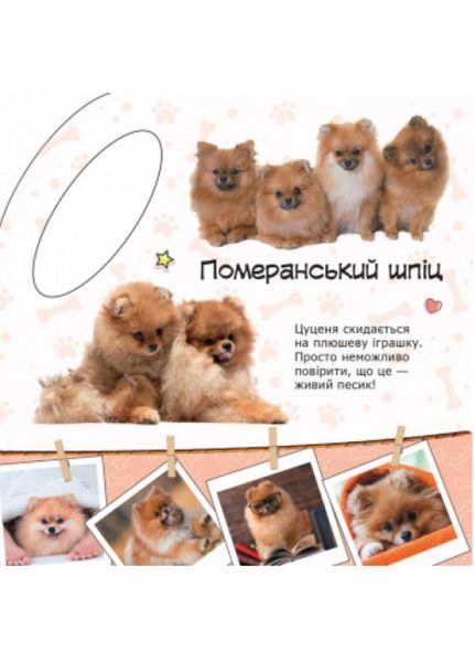 Мі-мі-мі торбинка : Песики. С1055002У 9789667493974 9789667493974 фото