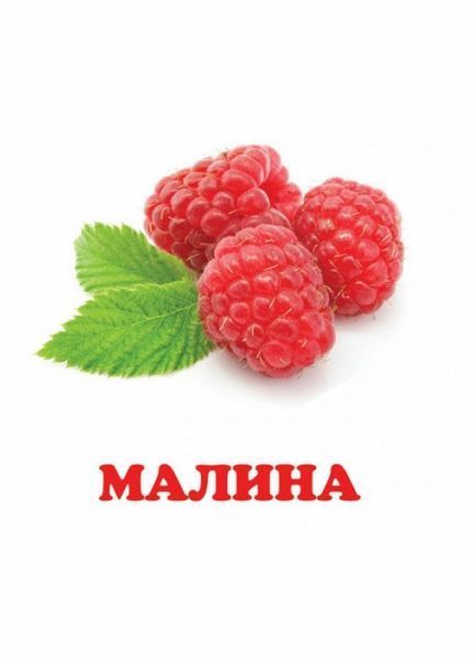 Книжка-картонка. Навколишній світ для найменших. Фрукти 9786177166381 9786177166381 фото