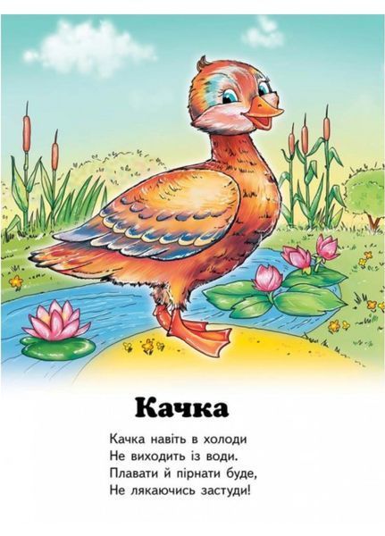 Вчимося з радістю. Набір з 4 книжок 9789664661895N фото