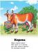 Вчимося з радістю. Набір з 4 книжок 9789664661895N фото 2