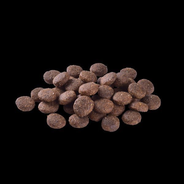Корм сухий Brit Care Dog Grain-free Junior Large Breed для молодих собак великих порід беззерновий з лососем 3 кг 8595602558872 8595602558872 фото