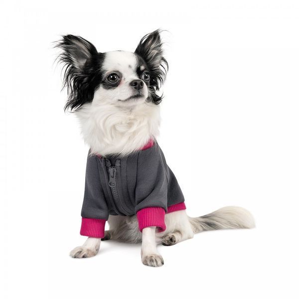 Толстовка Pet Fashion BIM для собак сіро-рожева М 4823082430314 4823082430314 фото