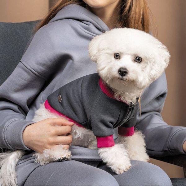 Толстовка Pet Fashion BIM для собак сіро-рожева М 4823082430314 4823082430314 фото