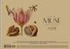 Альбом для малювання 3 шт. MUSE. Альбом Школярик 30 арк. А4 PB-SC-030-319 4823088235319 4823088235319 фото 3