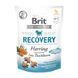 Ласощі Brit Care Functional Snack Recovery Herring для собак напіввологі для відновлення оселедець 150 г 8595602540020 8595602540020 фото 1