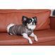 Жилет Pet Fashion Hardy для собак утеплений водонепроникний з отвором для повідця бежевий розмір S 4823082437528 4823082437528 фото 4