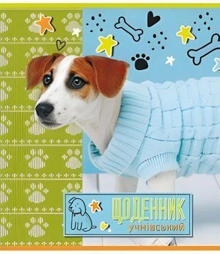 Щоденник шкільний. М'яка обкладинка. Руслан RLN10320 RLN10320 фото