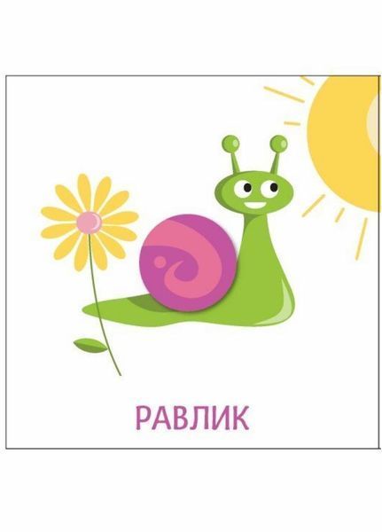 Книжка-картонка Яскравий світ. Розміри. А1708003У 9789667511470 9789667511470 фото