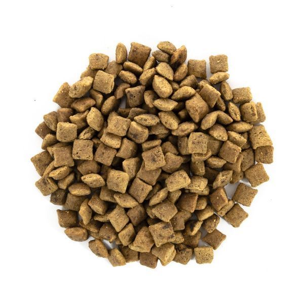 Корм сухий Brit Care Cat Grain Free Senior Weight Control для котів похилого віку з надмірною вагою з куркою 2 кг 171314/0945 фото