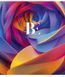 Комплект 5 шт загальних зошитів Be creative. Зошит Школярик 96 арк. у клітинку 3240 096-3240K 4820006471385 4820006471385_16 фото 6