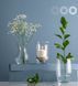 Ваза Trendglass Asta, 18 см (6688249) 6688249 фото 3