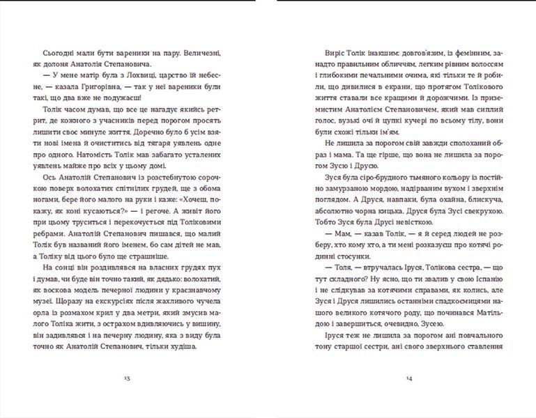 Книга Драбина. Автор - Євгенія Кузнєцова (ВСЛ) 9789664480977 фото