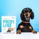 Нашийник Provet PROFILINE для котів та собак інсектоакарицид кораловий 35 см PR243096 PR243096 фото 8
