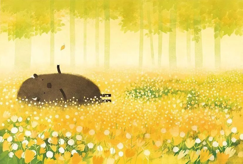 Книга Зубр шукає гніздо Автор - Оксана Була 9786176793359 фото