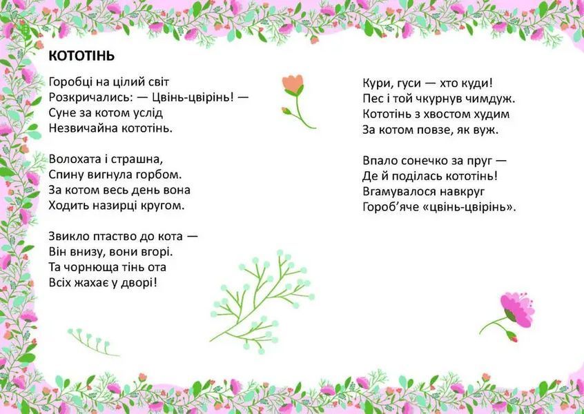 Книга В киці модний капелюх 9789669891969 9789669891969 фото