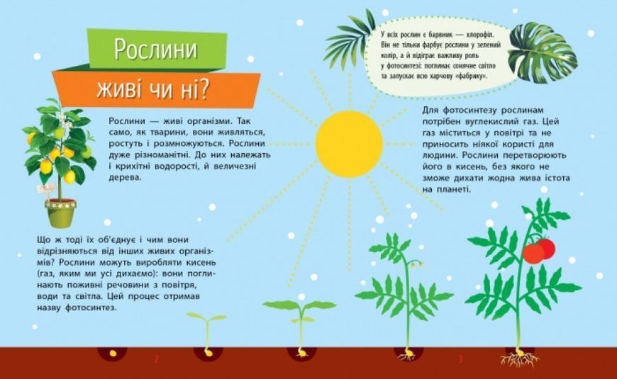 Книга "Чомусики. Рослини" Автор Булгакова Ганна 9786170937834 фото