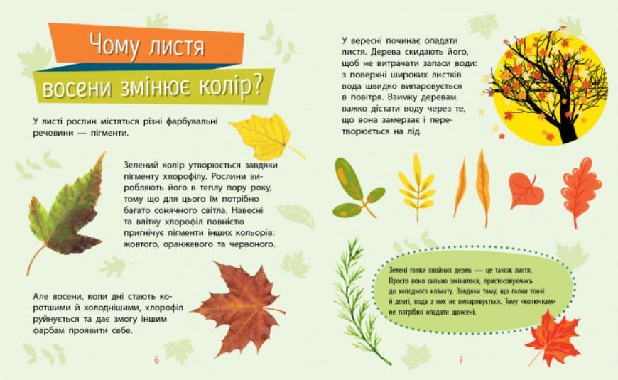 Книга "Чомусики. Рослини" Автор Булгакова Ганна 9786170937834 фото